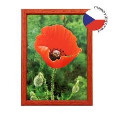 Hama rámeček dřevěný TRAVELLER II červený 21x29,7 cm Hama rámeček dřevěný TRAVELLER II červený 21x29,7 cm