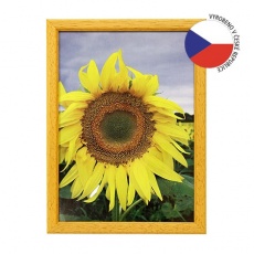 Hama rámeček dřevěný TRAVELLER II okrový 21x29,7 Hama rámeček dřevěný TRAVELLER II okrový 21x29,7