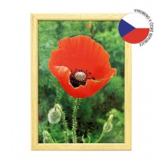 Hama rámeček dřevěný TRAVELLER II přírodní 10x15 cm Hama rámeček dřevěný TRAVELLER II přírodní 10x15 cm
