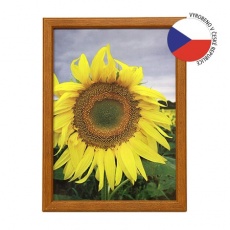 Hama rámeček dřevěný TRAVELLER II kor 21x29,7 Hama rámeček dřevěný TRAVELLER II kor 21x29,7